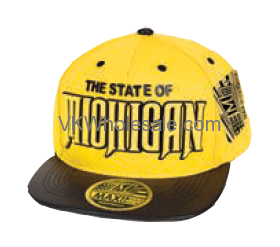 State of Michigan Snapback Summer HAT
