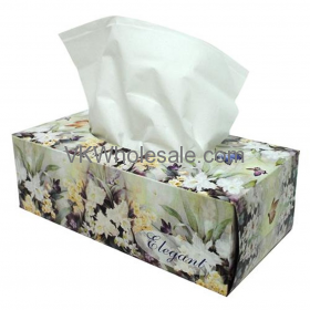Elegant Facial Tissue 160 2-Ply 36 Packs