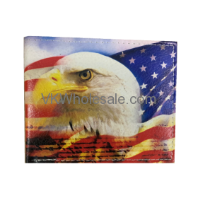 American Eagle LEATHER WALLET