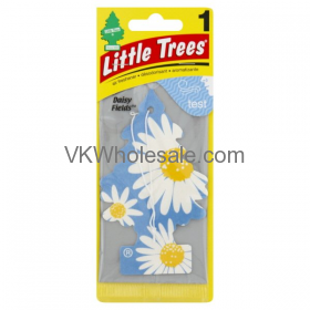 Little Trees Daisy Fields AIR Fresheners 24 PK