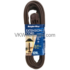 Extension Cord 12FT