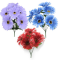 GERBER DAISY BUSH 10608-FLOWERS_WHOLESALE