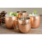 Moscow Mule Mug Hammered Copper Wholesale