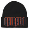 Chicago Embroidered Winter Skull Hats Wholesale