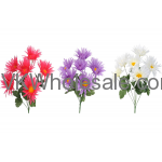 SPIDER DAISY BUSH 15022 FLOWERS WHOLESALE